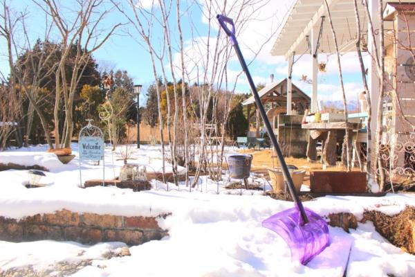 detached 永江親川