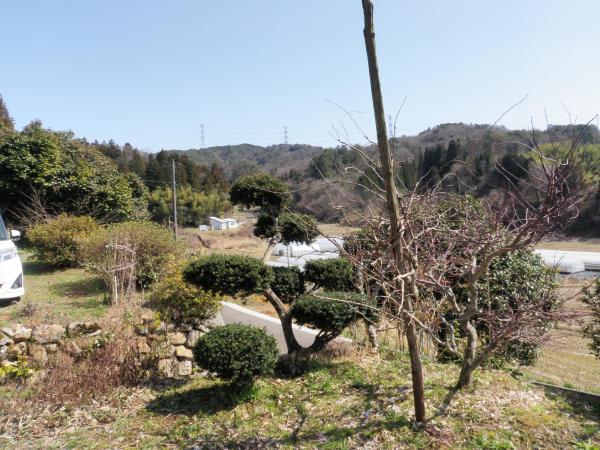 detached 弥栄町