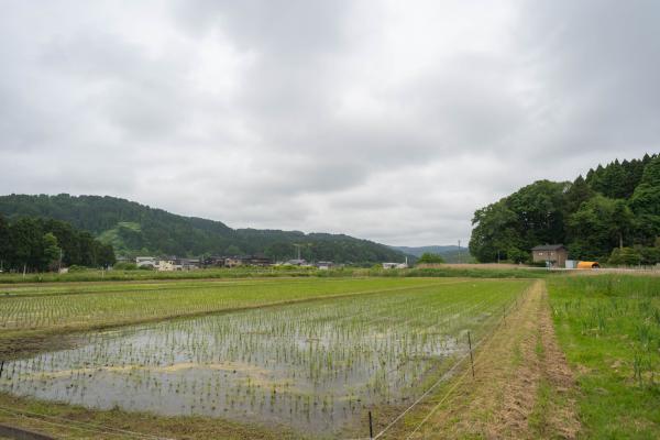 detached 氷見市脇方