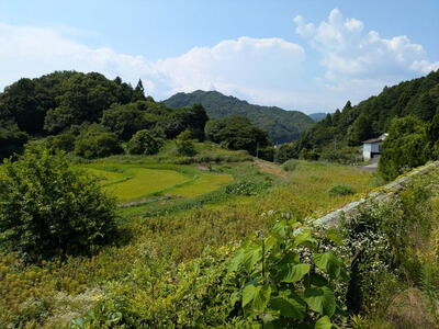 detached 大字塩田