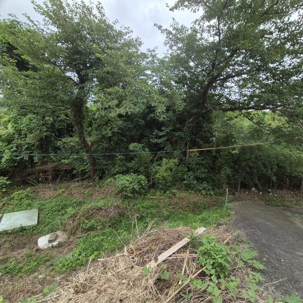 commercial 厳原町久田