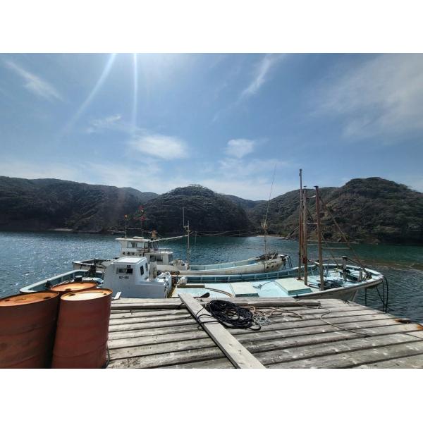 commercial 上対馬町網代