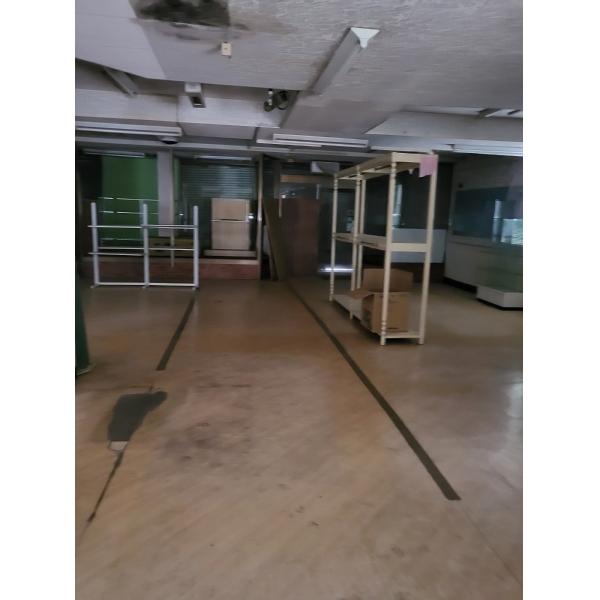 commercial 豊玉町仁位