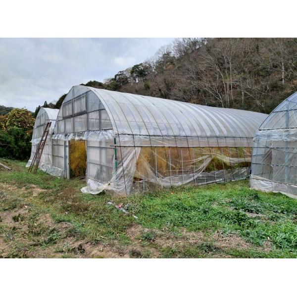 detached 峰町三根
