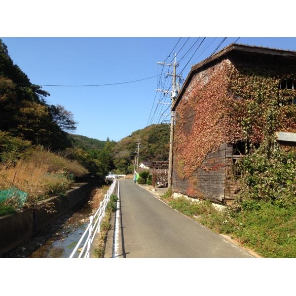 commercial 峰町賀佐