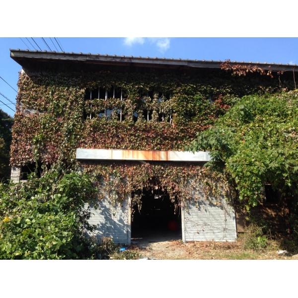 commercial 峰町賀佐