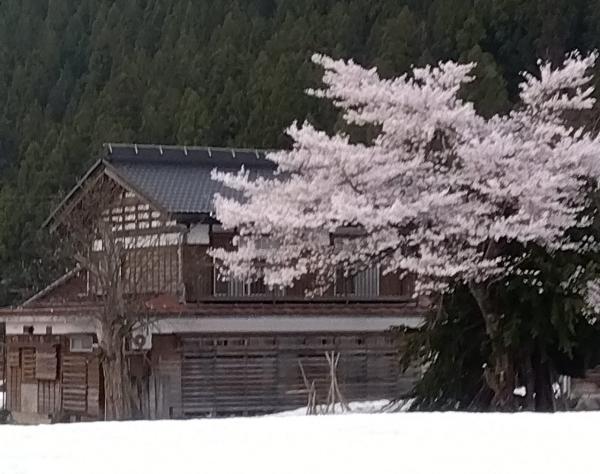 detached 津南町大字秋成