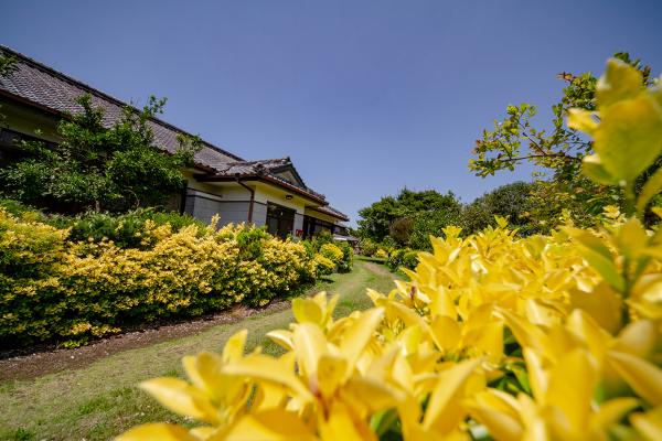 detached 宮崎県都城市梅北町