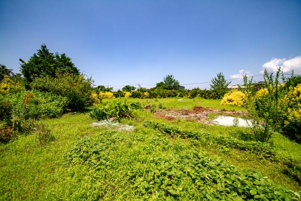 detached 宮崎県都城市梅北町