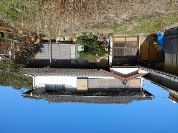 detached 有明