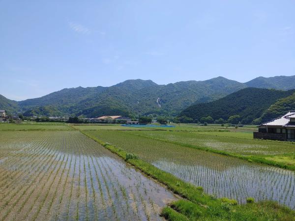 detached 倉岳