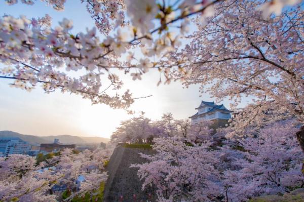 detached 阿波（あば）地区