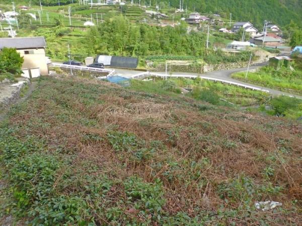 detached 有東木（うとうぎ）地区