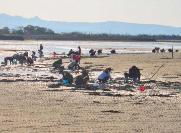 detached 下乙女地区（下乙女）