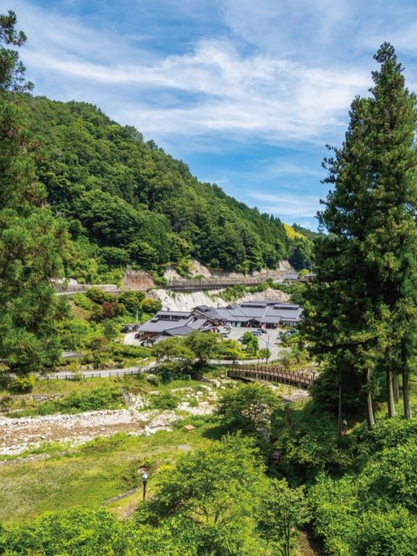 detached 富草（とみくさ）地区