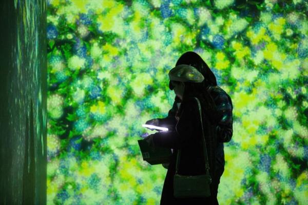 detached 西真玉地区