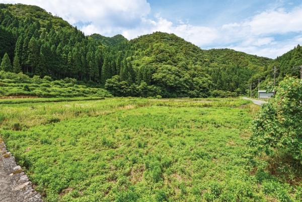 detached 川本長原