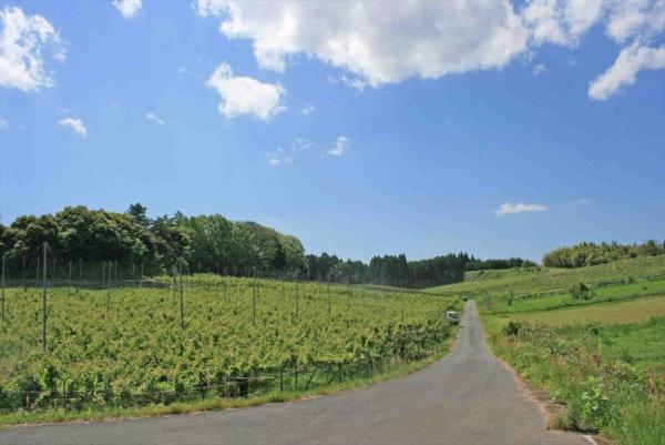 detached 北谷地区（忰谷／かせだに）