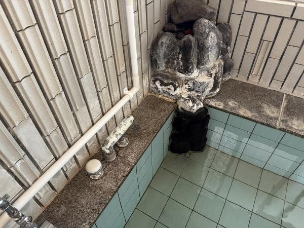 apartment 仁科798-1