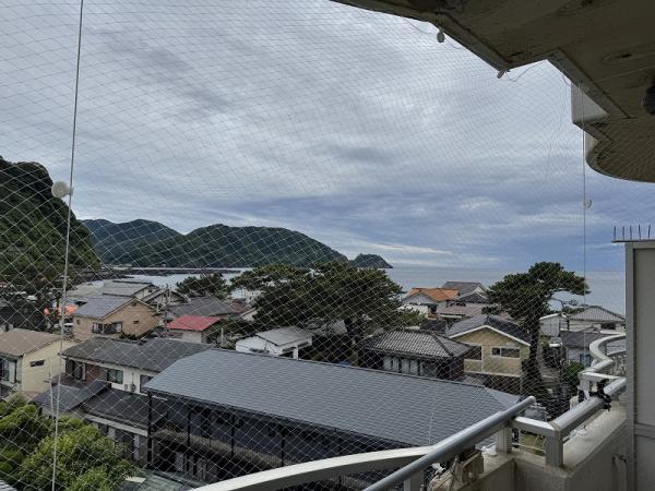 apartment 仁科798-1