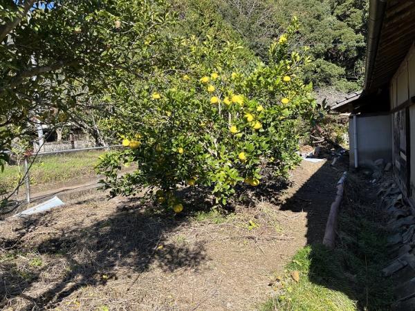 detached 松島町合津／合の丸