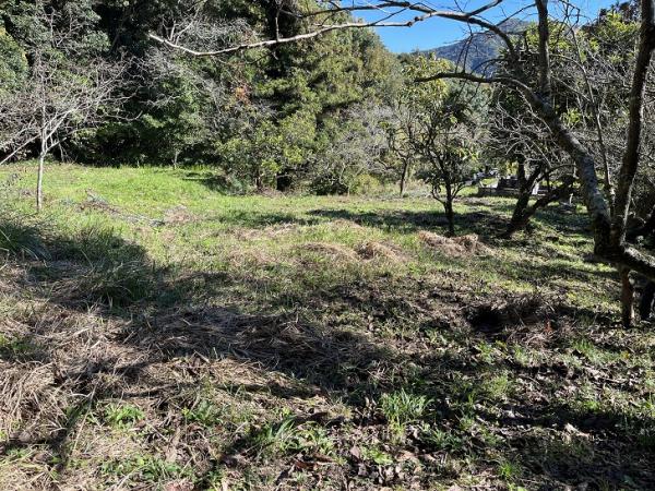 detached 松島町合津／合の丸