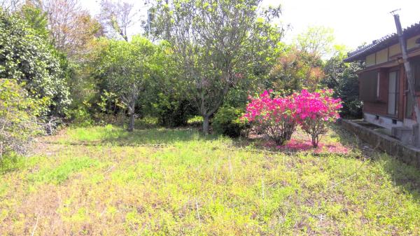 detached 高山（新富）