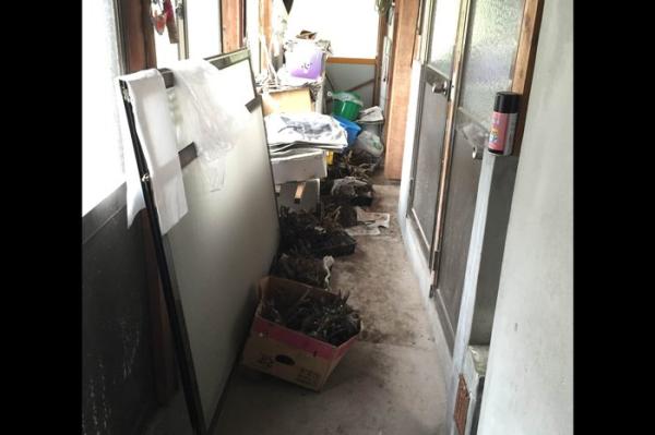 detached 下蚊屋282