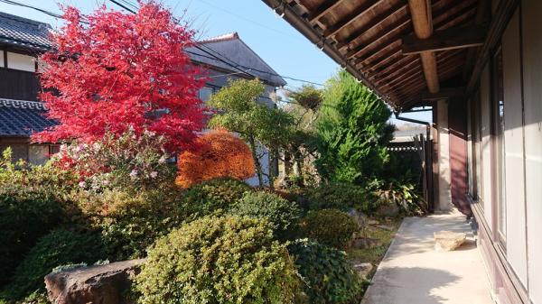 detached 信楽町