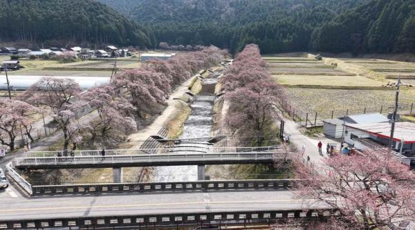detached 土山町鮎河