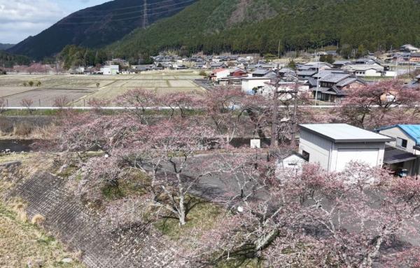 detached 土山町鮎河
