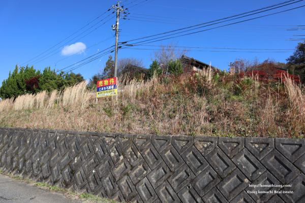  岩村町飯羽間字極楽寺