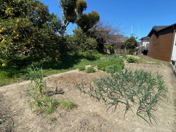 detached 中尾1丁目