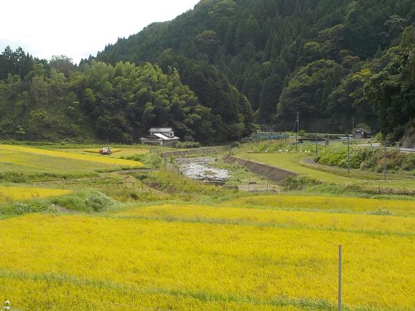 detached 福知山市一ノ宮