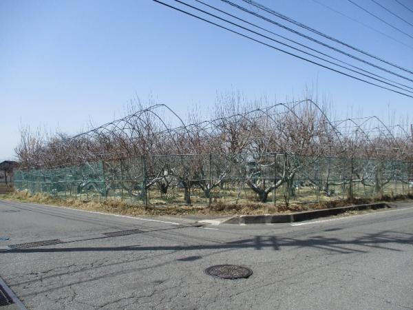  岩村田北