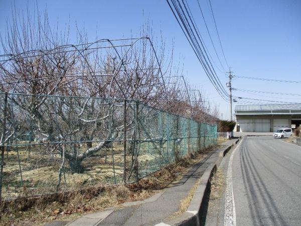  岩村田北