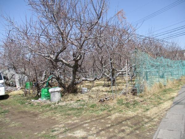  岩村田北