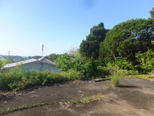 detached 健堅189番