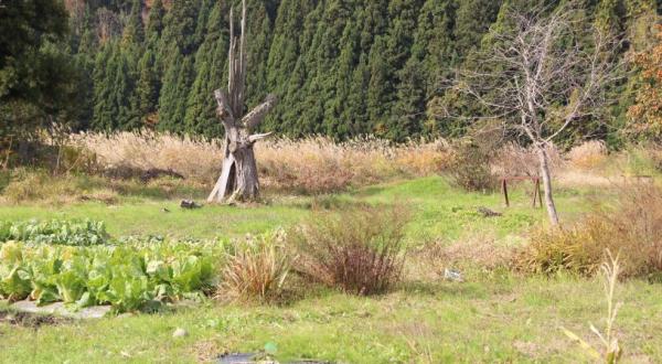 detached 福島県耶麻郡西会津町上野尻