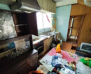 detached 南部