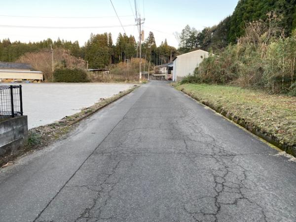  大口大島