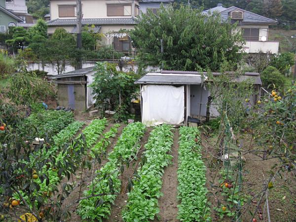 detached 北大河原　釜の子