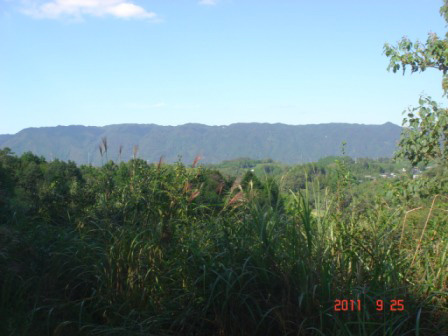 detached 田山鷹ノ尾