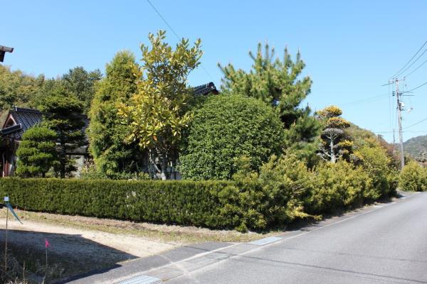 detached 大字中山