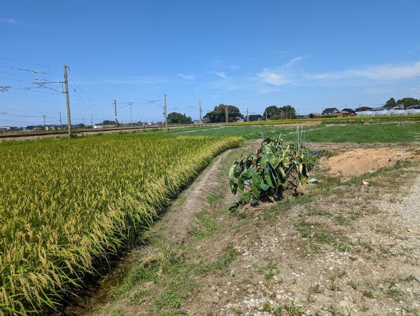 detached 道下地区