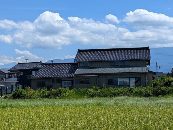 detached 道下地区