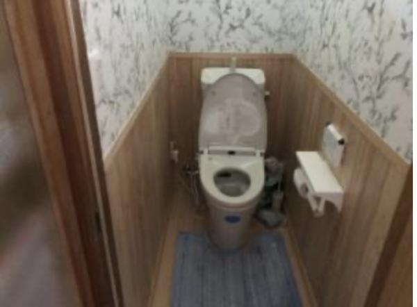 detached 加茂歌代