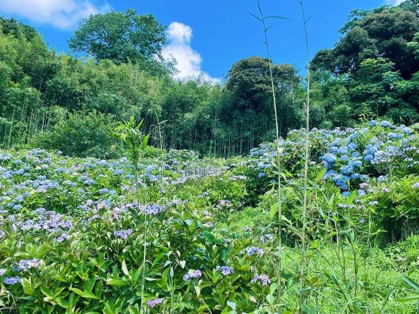 detached 千葉県安房郡鋸南町大崩