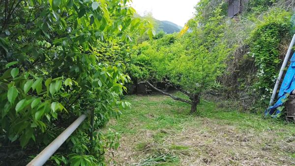 detached Totsukawa Village