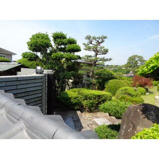 detached 福山市神村町